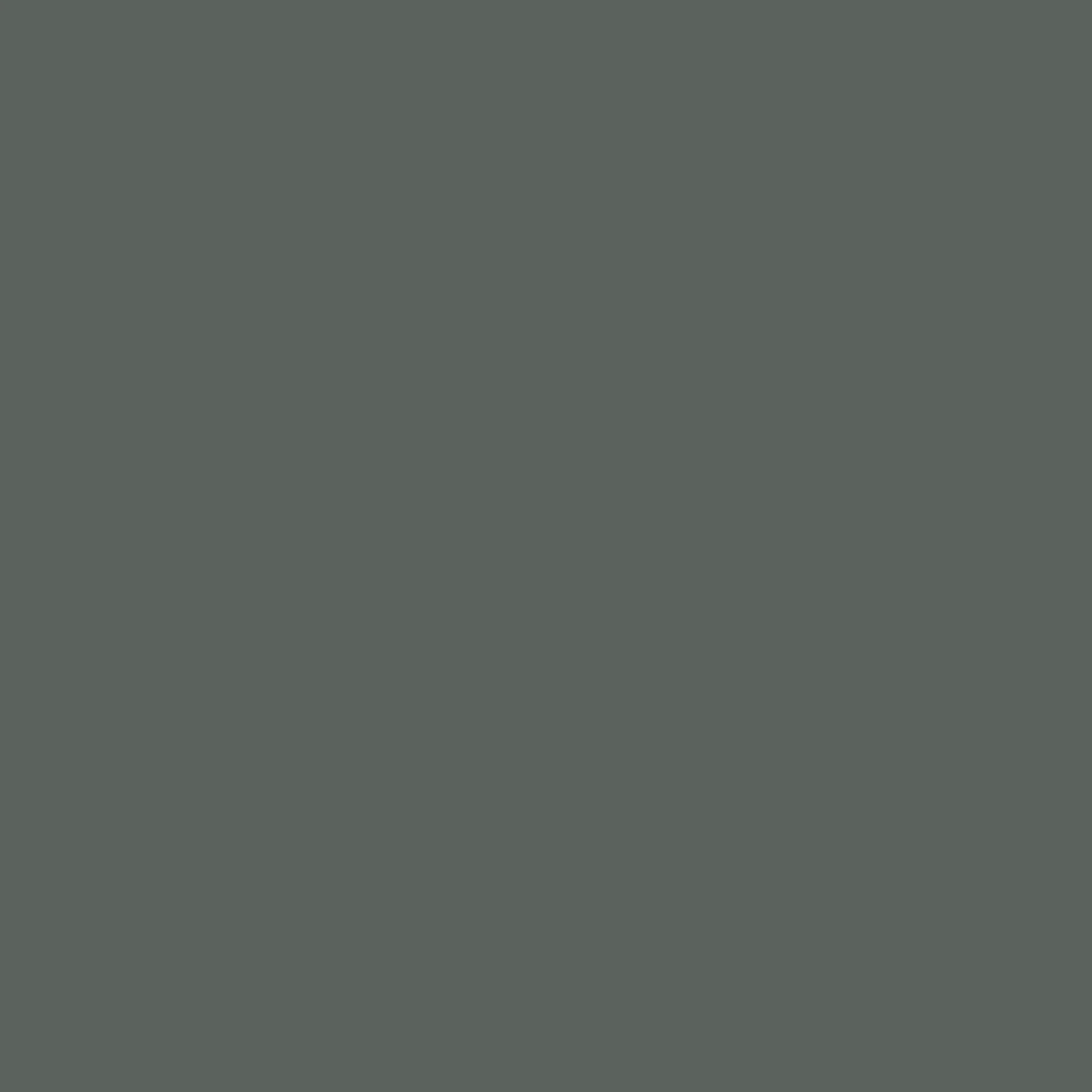 Dakota Mountain Paint - Image 4