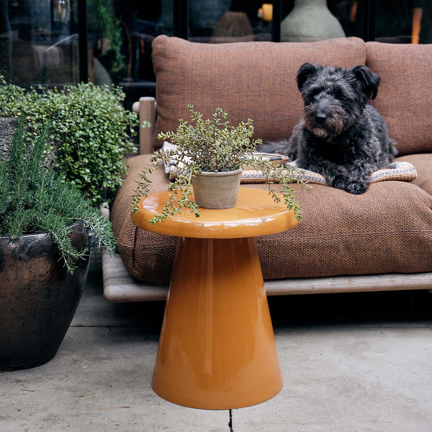 Interior Design Masterclass - Image 4