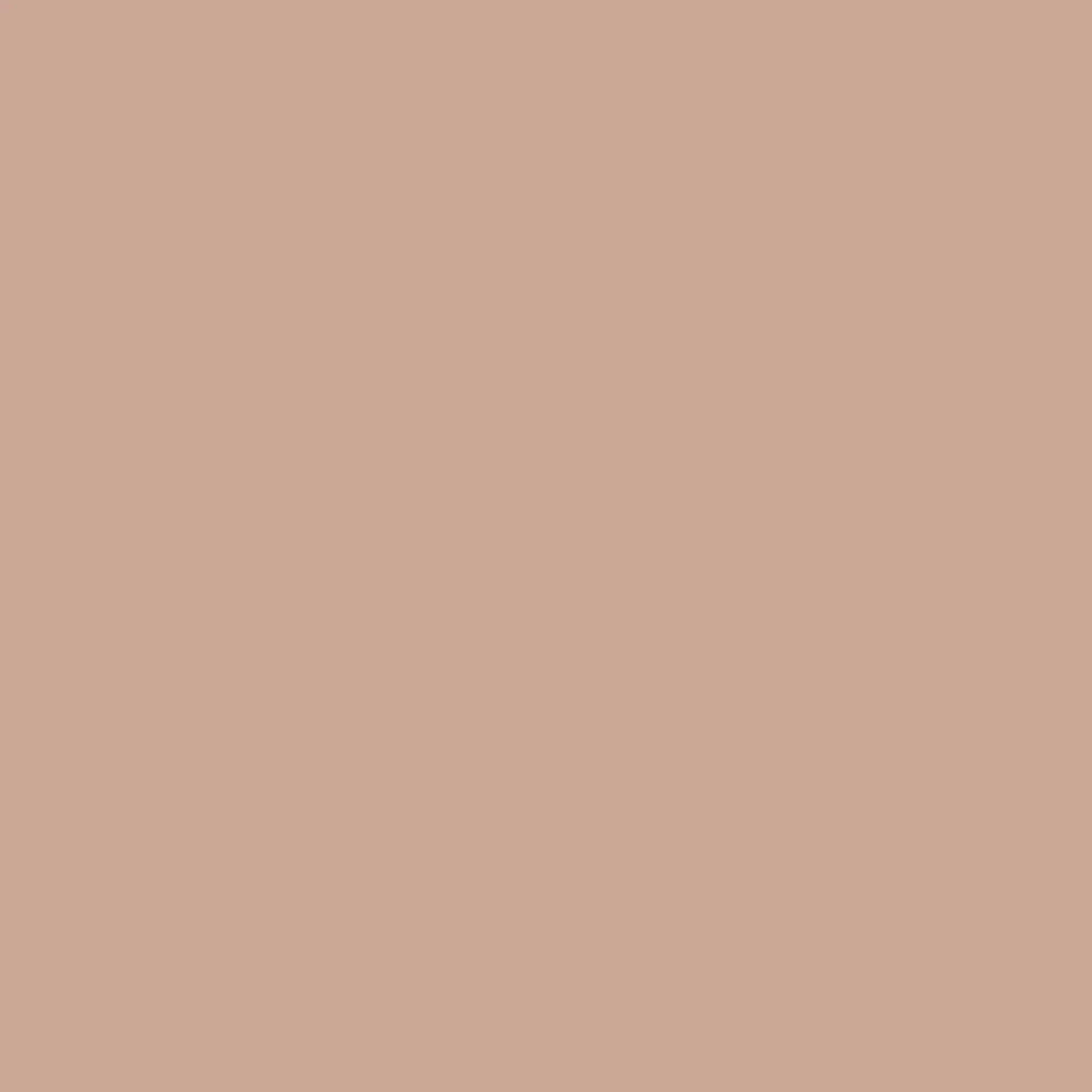 Monterey Blush Paint - Image 4