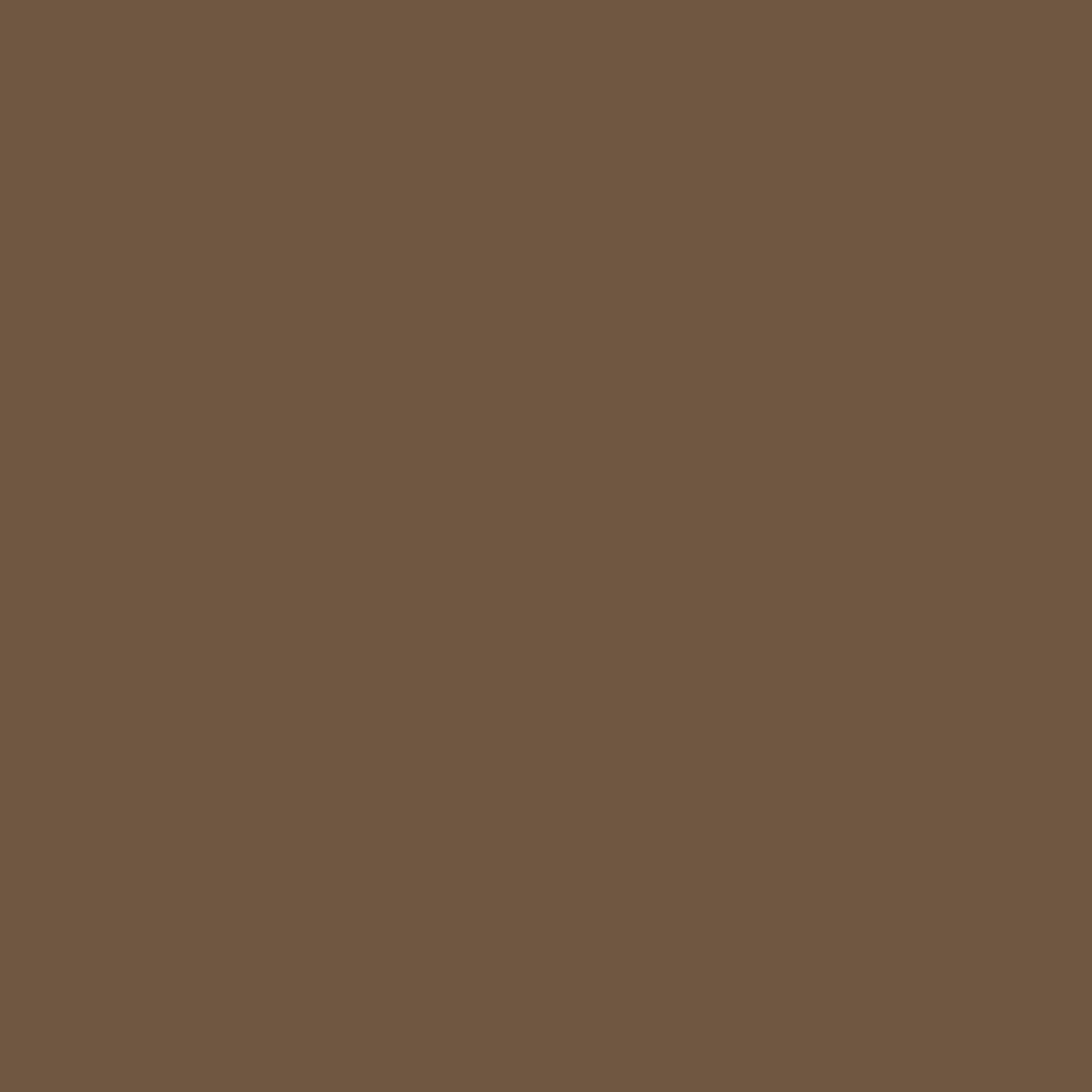 Owasco Olive Paint - Image 4