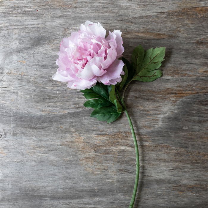 Artificial Peony Rouge - Image 2