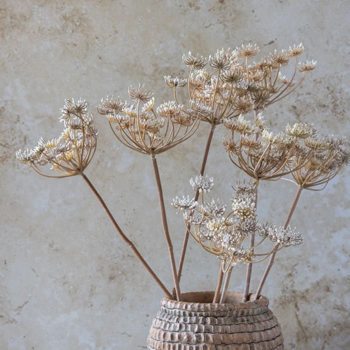 Artificial Queen Anne's Lace Stem - Image 4