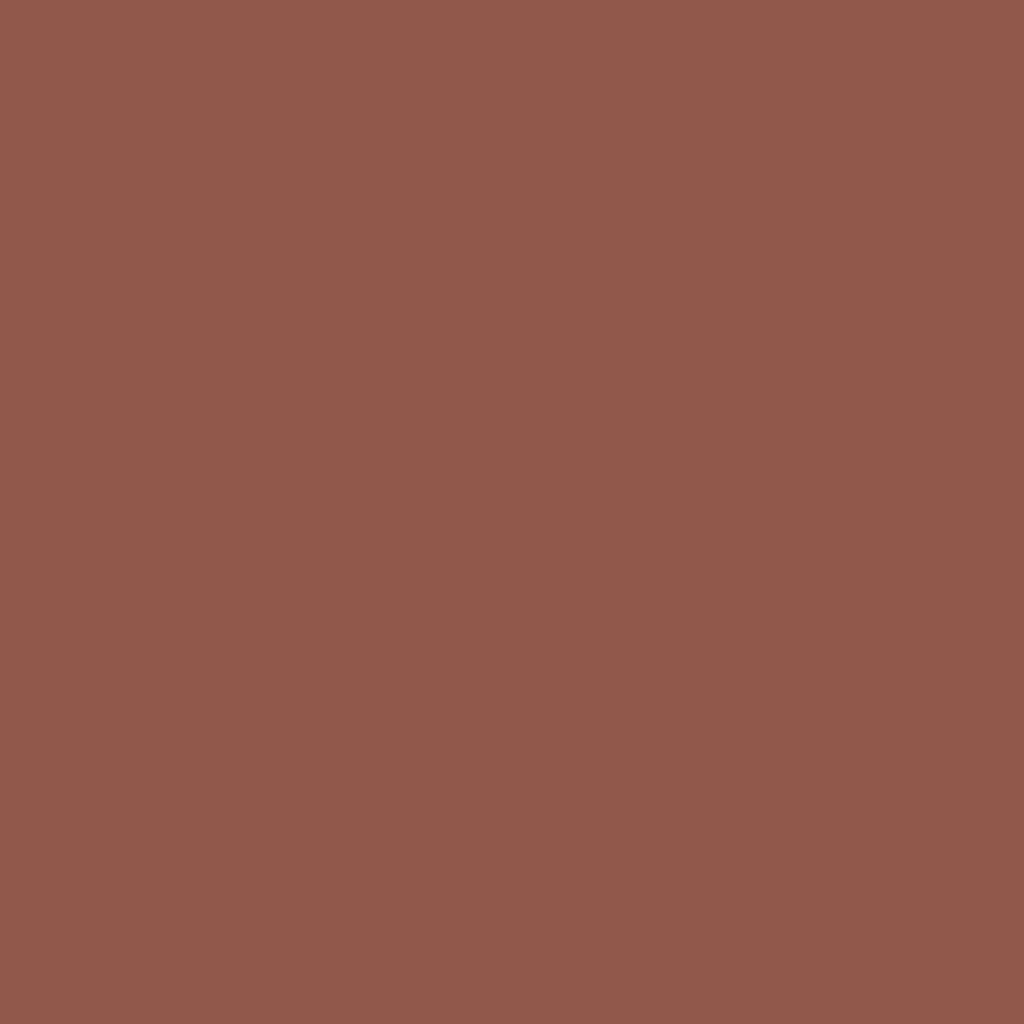 Rocky Desert Paint - Image 4