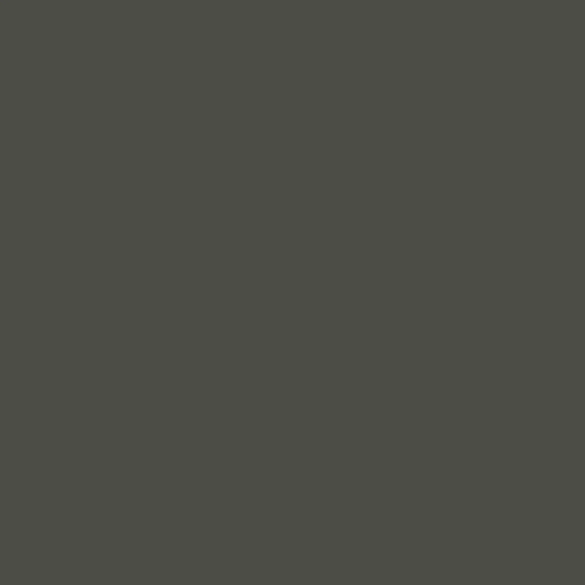 Sea Botanic Paint - Image 4
